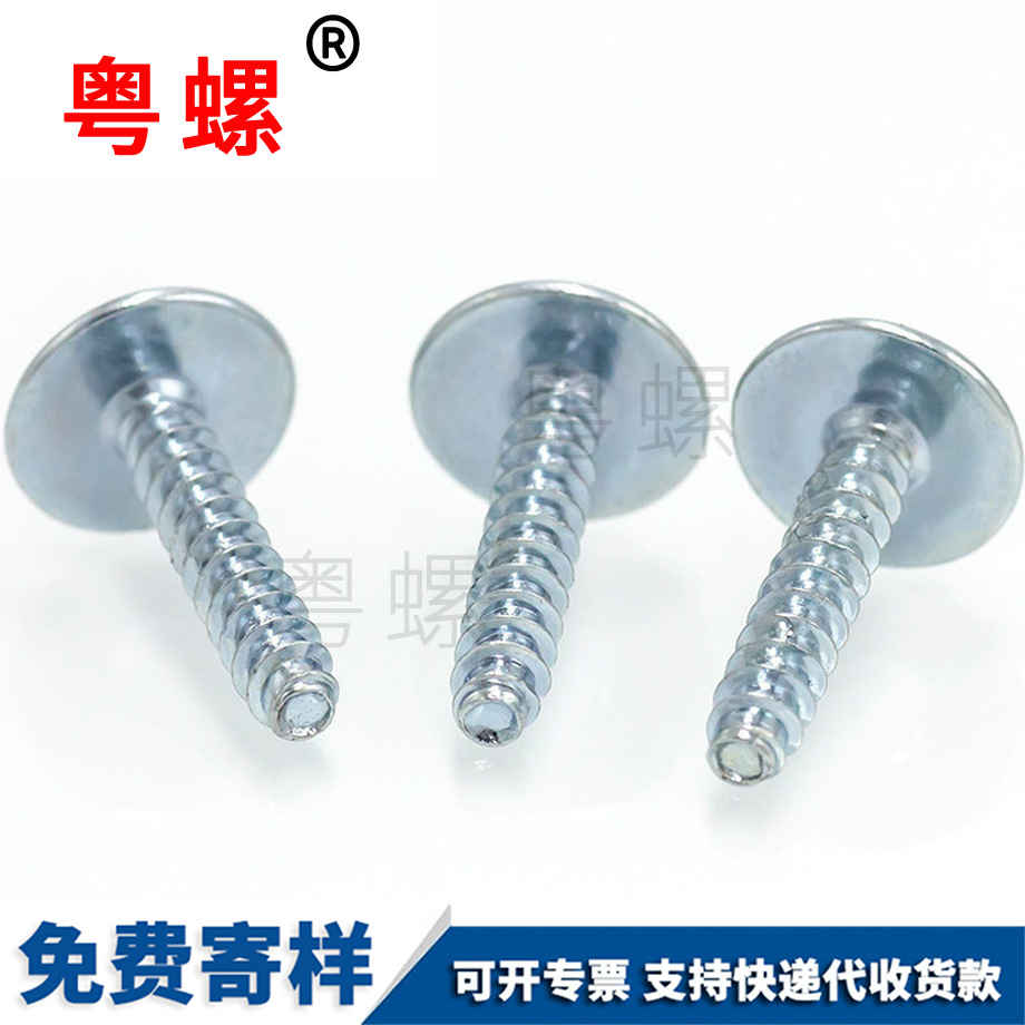 訂制圓頭自昌都帶墊自攻