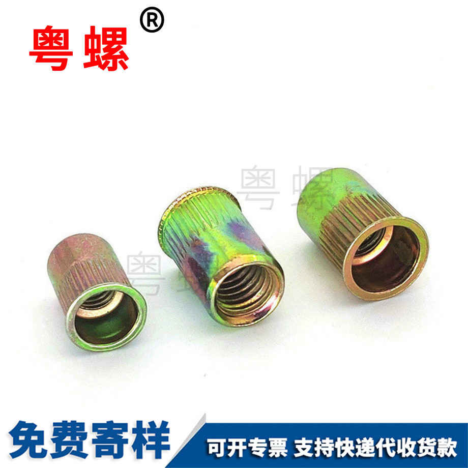 綏化拉鉚螺母