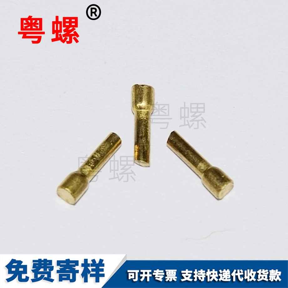 微型西雙版納小螺絲