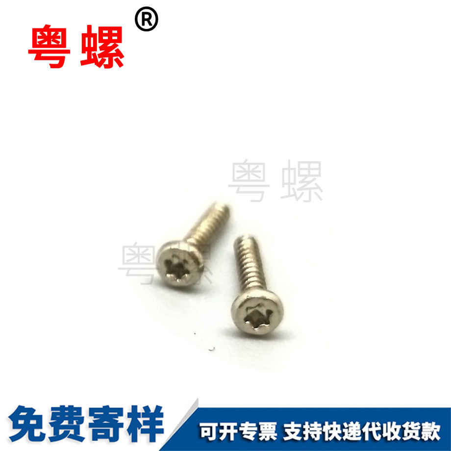 加工非標電子迪慶小螺絲