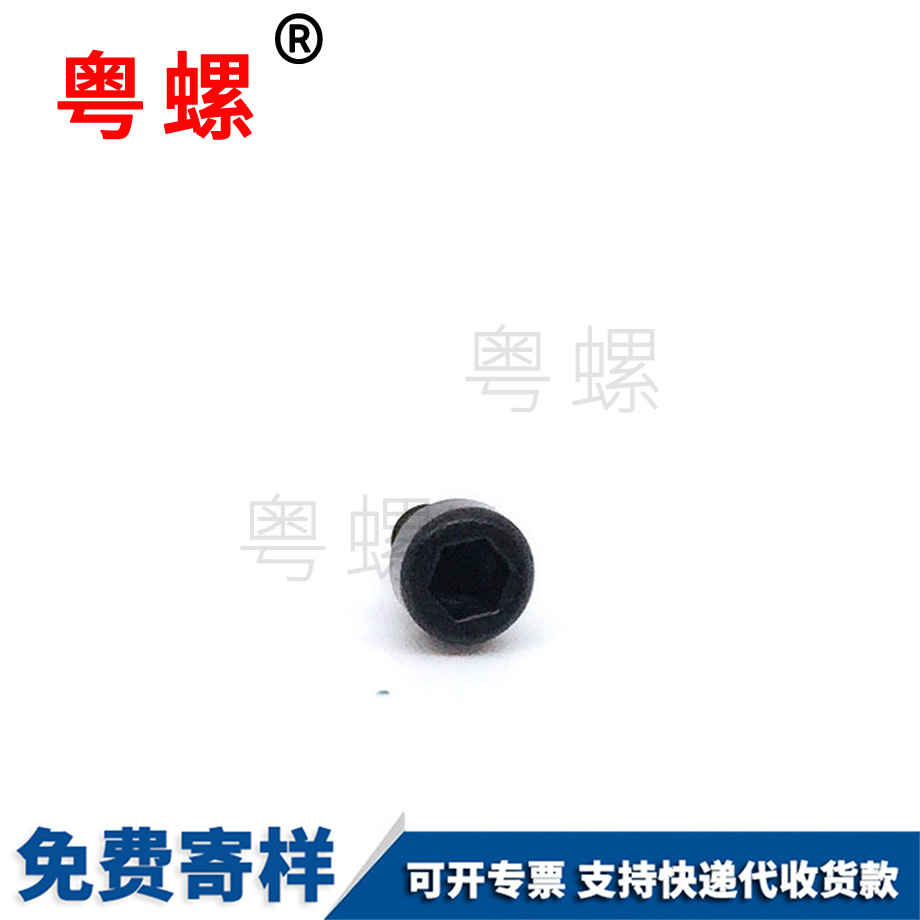生產(chǎn)杯頭梅花松江自攻螺絲