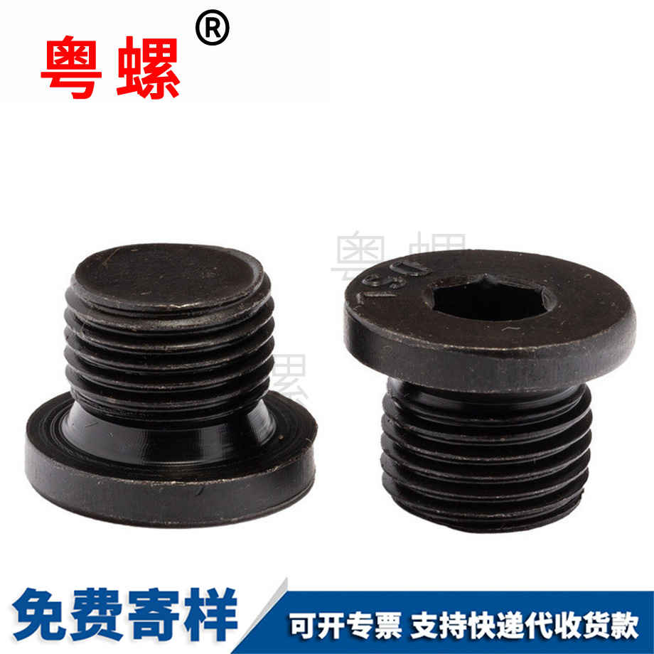 生產(chǎn)內(nèi)六角法蘭面綏化堵頭