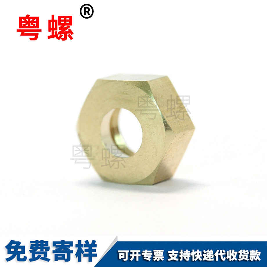 智能家用拖地機(jī)西安六角西安銅螺母