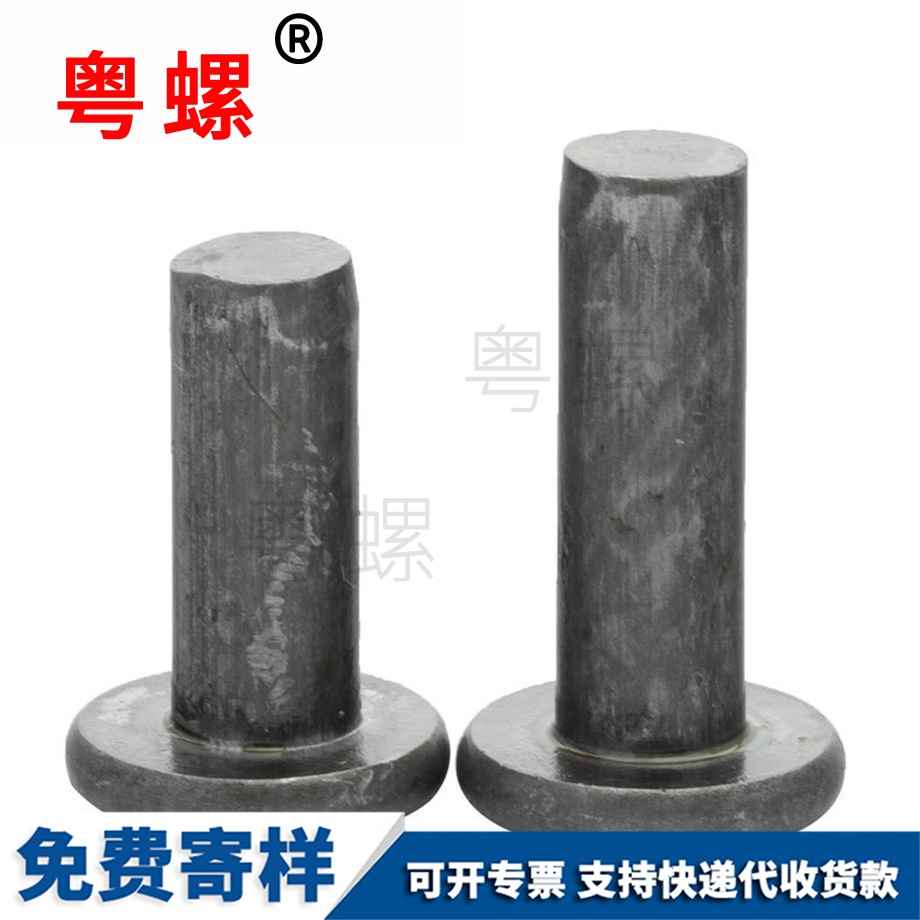 訂制鐵西雙版納平頭實(shí)心鉚釘