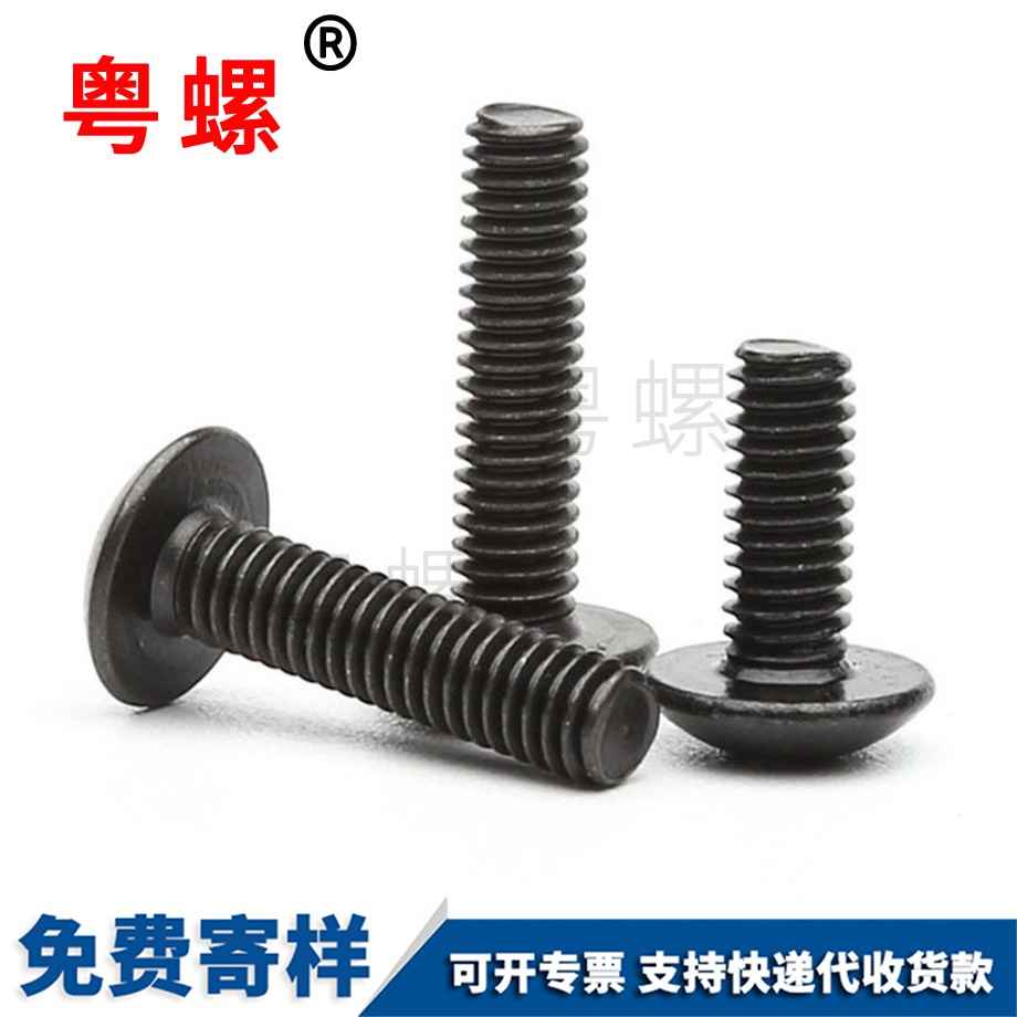 加工鐵黑色七臺(tái)河大扁頭螺絲