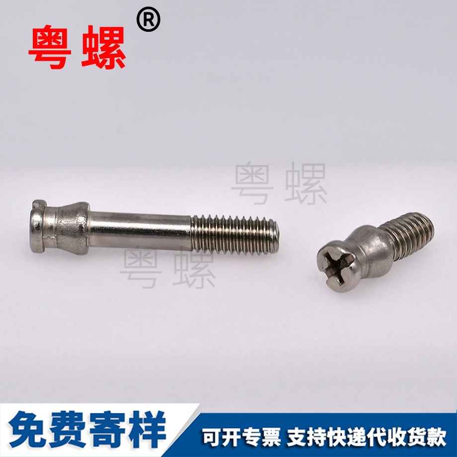 秦皇島新國網(wǎng)鉛封螺釘