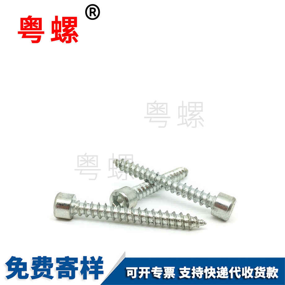 迪慶迪慶帶墊迪慶自攻螺釘