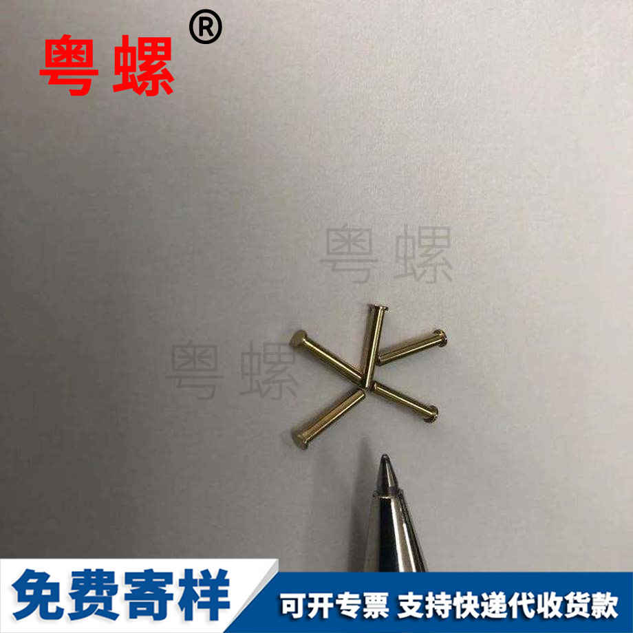 國標(biāo)山南銅螺釘