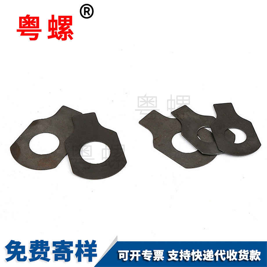 訂做單耳昌都止動(dòng)墊圈