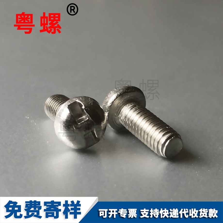 訂做圓頭H槽昌都防盜螺絲